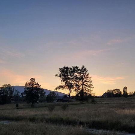Hamajdowka Villa Zubrzyca Gorna Dış mekan fotoğraf