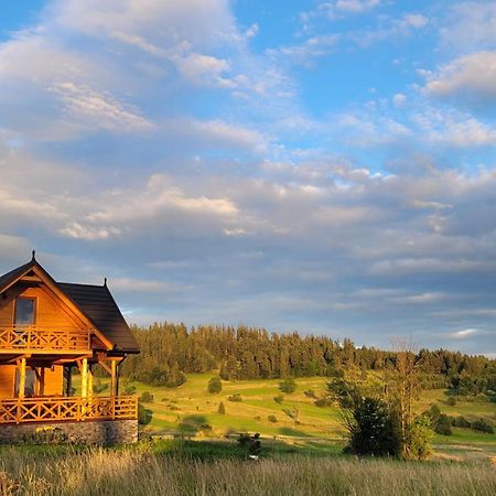 Hamajdowka Villa Zubrzyca Gorna Dış mekan fotoğraf